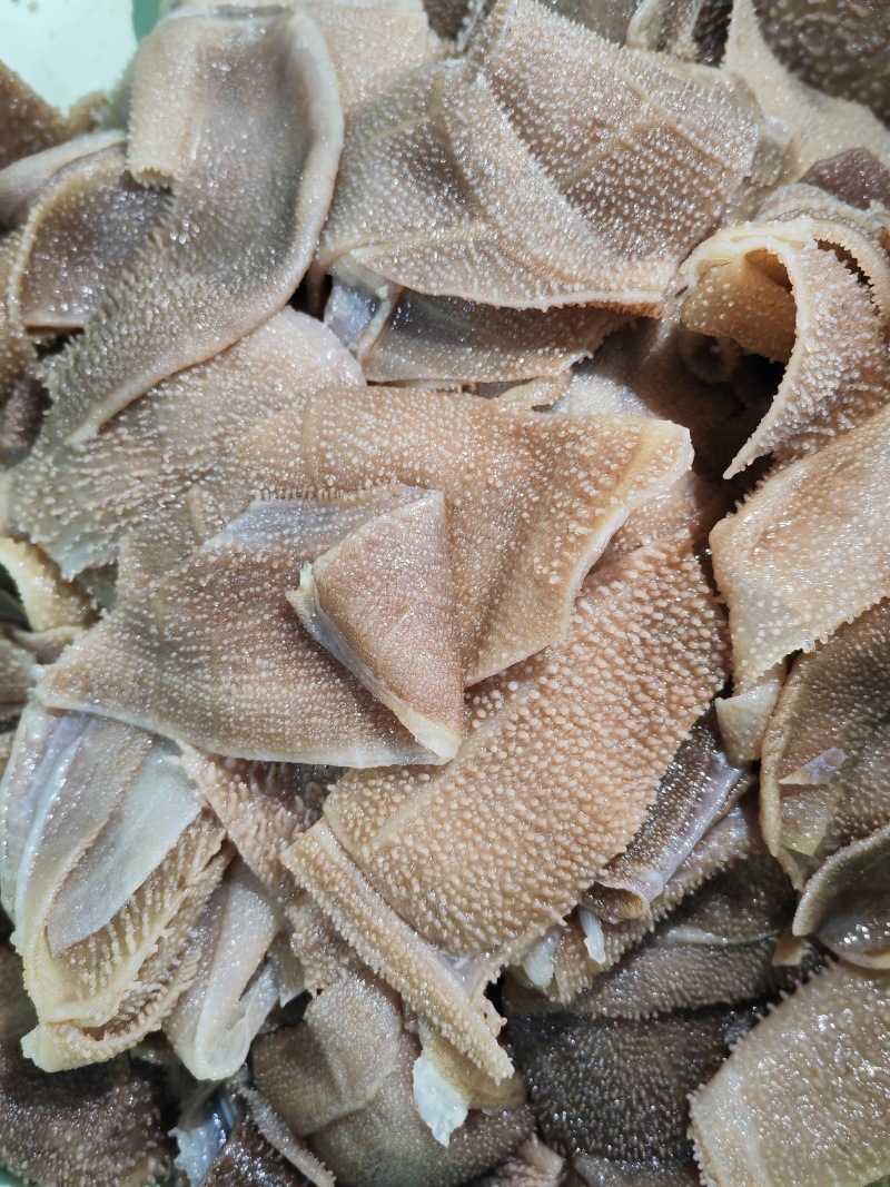 毛肚