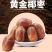 黄椰枣黄金椰枣正宗西域奶香黄椰枣