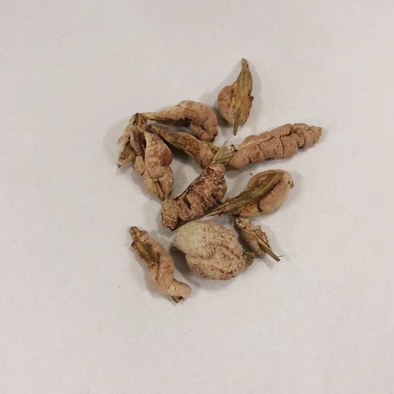 竹黄竹花竹茧保庆药业批发竹花实物拍摄！发货如图