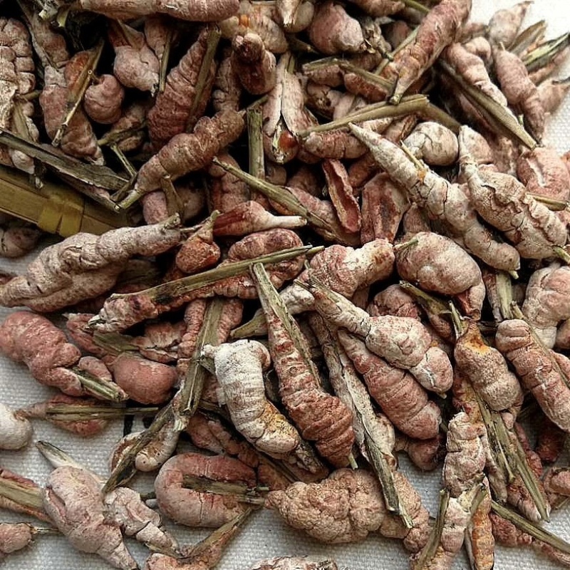 竹黄竹花竹茧保庆药业批发竹花实物拍摄！发货如图
