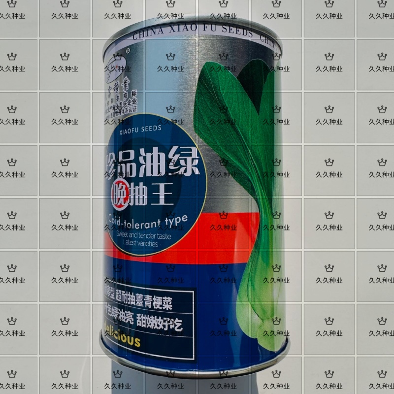 珍品油绿晚抽王青梗菜种子油亮小青菜种子耐寒耐抽薹冬春蔬菜