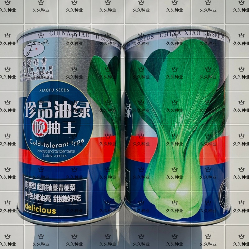 珍品油绿晚抽王青梗菜种子油亮小青菜种子耐寒耐抽薹冬春蔬菜