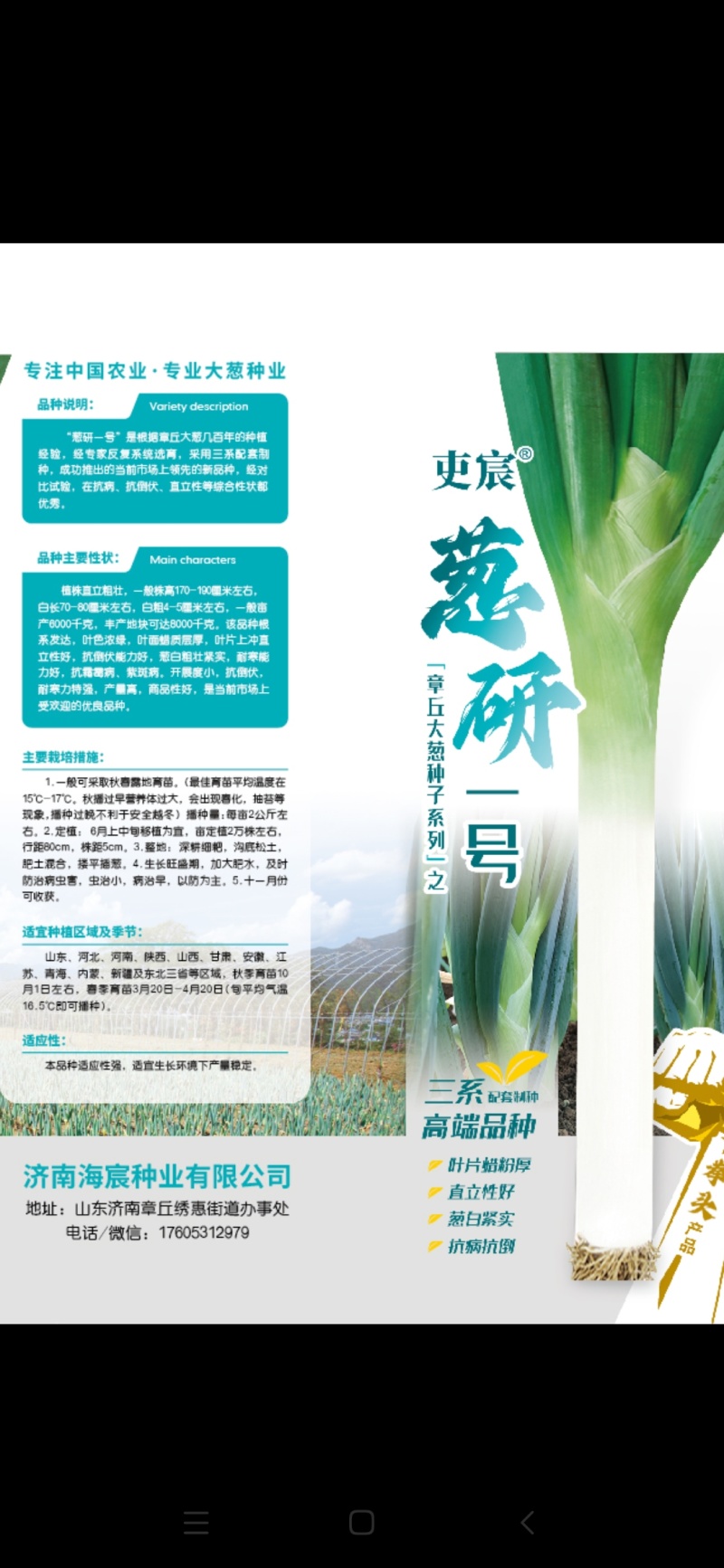 正宗山东章丘高巨白大葱种子进口铁杆钢葱白高新种子