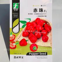 草莓椒种子珠子椒种子早熟朝天椒品种观赏食用辣味浓辣椒种子