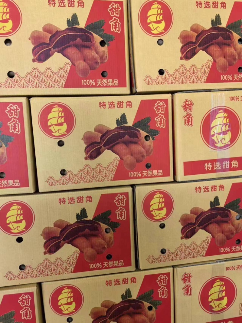 26年新果甜酸角云南西双版纳特产新鲜上市