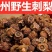 剌梨干果