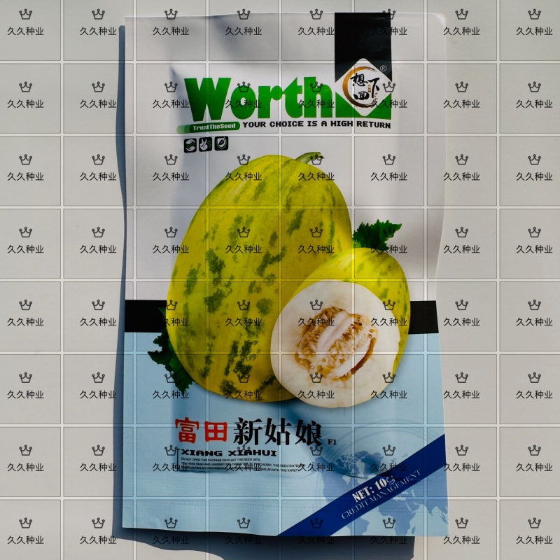 富田新姑娘甜瓜种子早熟豹点皮薄肉白色高糖耐贮运大田种香甜