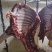 新鲜马肉