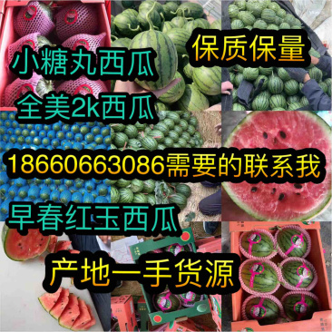 小糖丸西瓜，吊瓜2K西瓜，大量现货供应，质量好，