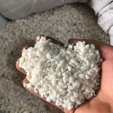 鱼脑石鱼首石鱼枕石鱼脑石正品实拍现货