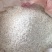 鱼脑石鱼首石鱼枕石鱼脑石正品实拍现货