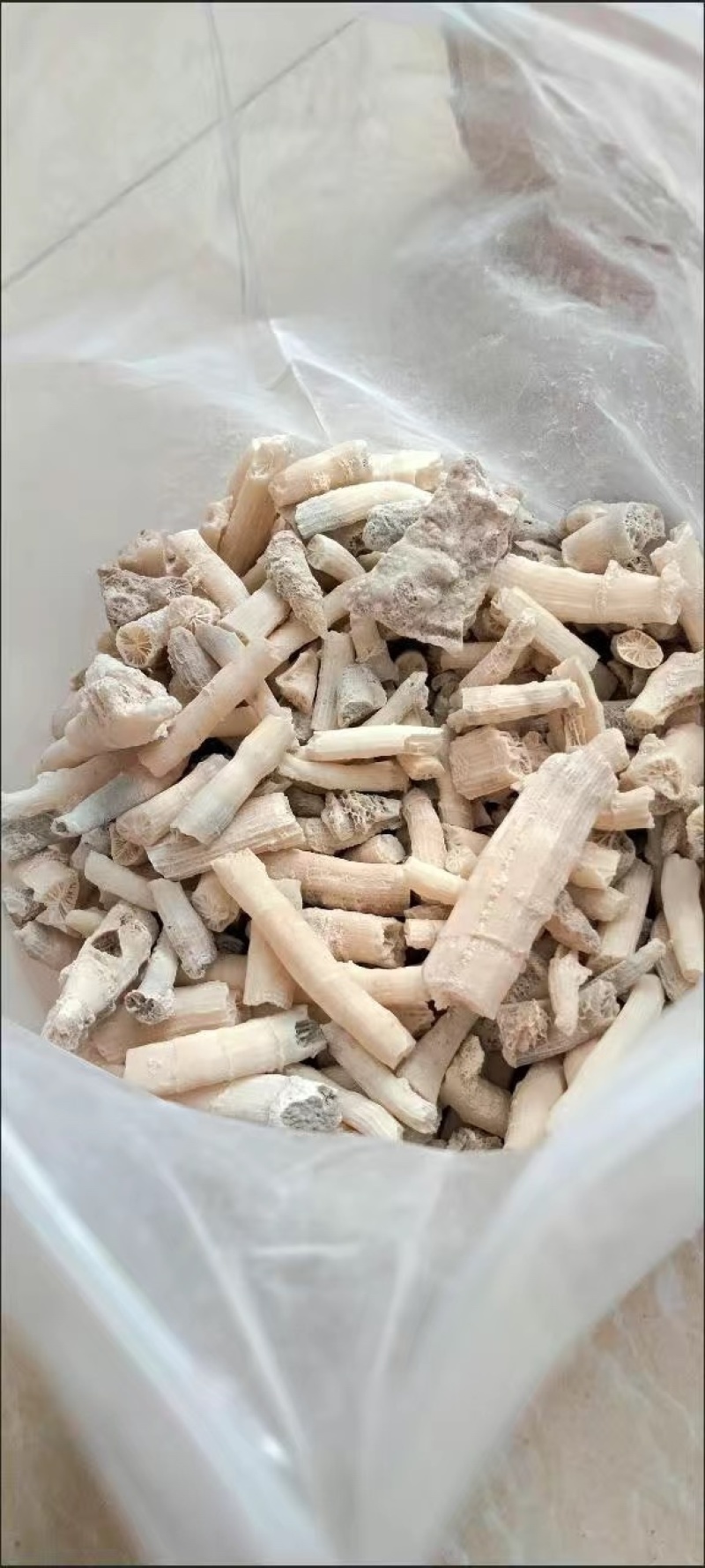 鹅管石滴乳石钟乳滴保庆药业批发鹅管石