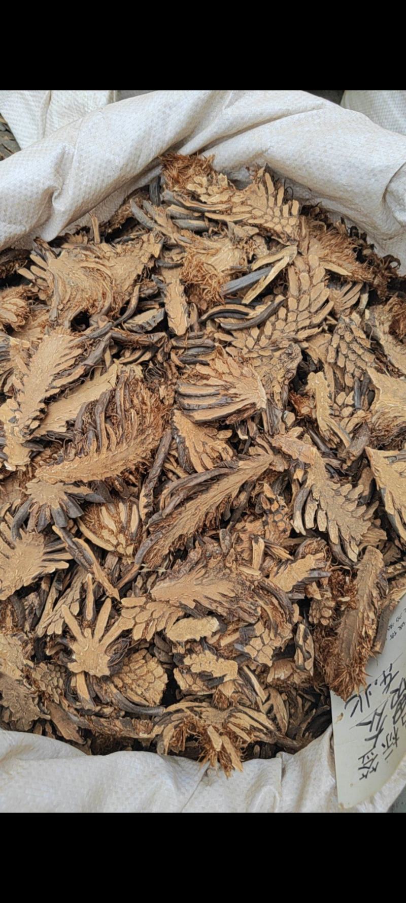 贯众貫众干货切片量大从优欢迎选购！