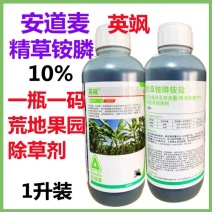 英飒精草铵磷草铵膦安道麦烂根牛筋草荒地果园抗性杂草除草剂