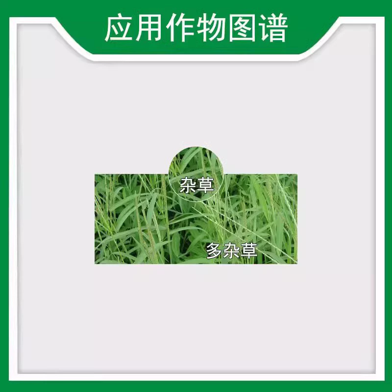 英飒精草铵磷草铵膦安道麦烂根牛筋草荒地果园抗性杂草除草剂