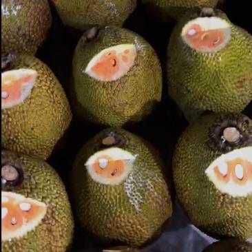 大量供应越南菠萝蜜印尼红菠萝蜜支持电商代发