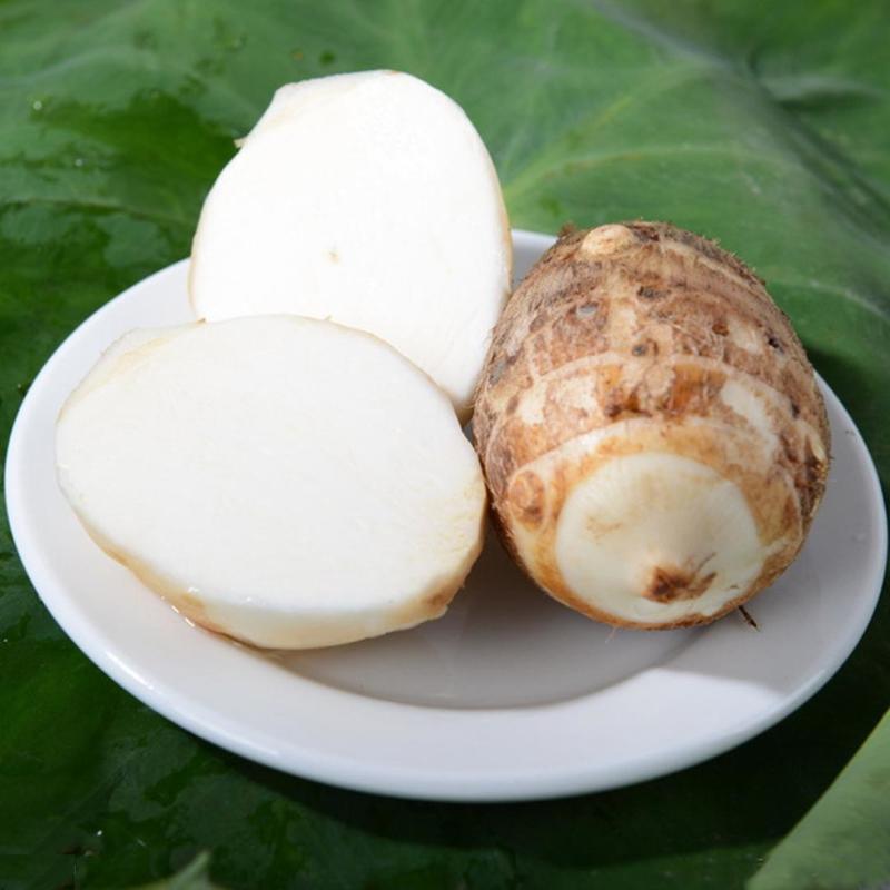 山东8520毛芋头，规格齐全。货源充足。