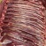 驴肉