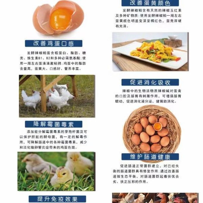 发酵辣椒油脂粉鸡鸭鹅蛋禽专用改善蛋壳质量提高产蛋