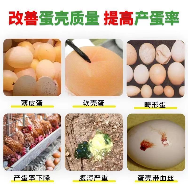 发酵辣椒油脂粉鸡鸭鹅蛋禽专用改善蛋壳质量提高产蛋