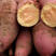 精品西瓜红红薯产地直发供应电商超市市场