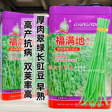 福满地长豇豆种子厚肉翠绿豆角种子早熟糯豇抗性强高产