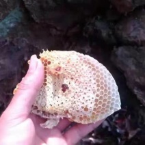 海南省白沙县正宗土蜂蜜