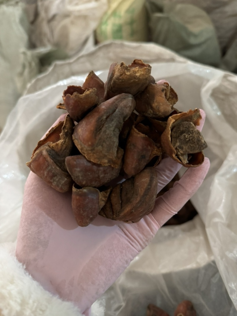 保庆药业批发炒猪蹄甲炒猪指甲灸猪蹄甲炒猪蹄甲