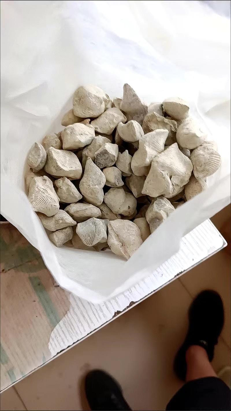 石燕中药石燕燕子石保庆药业批发