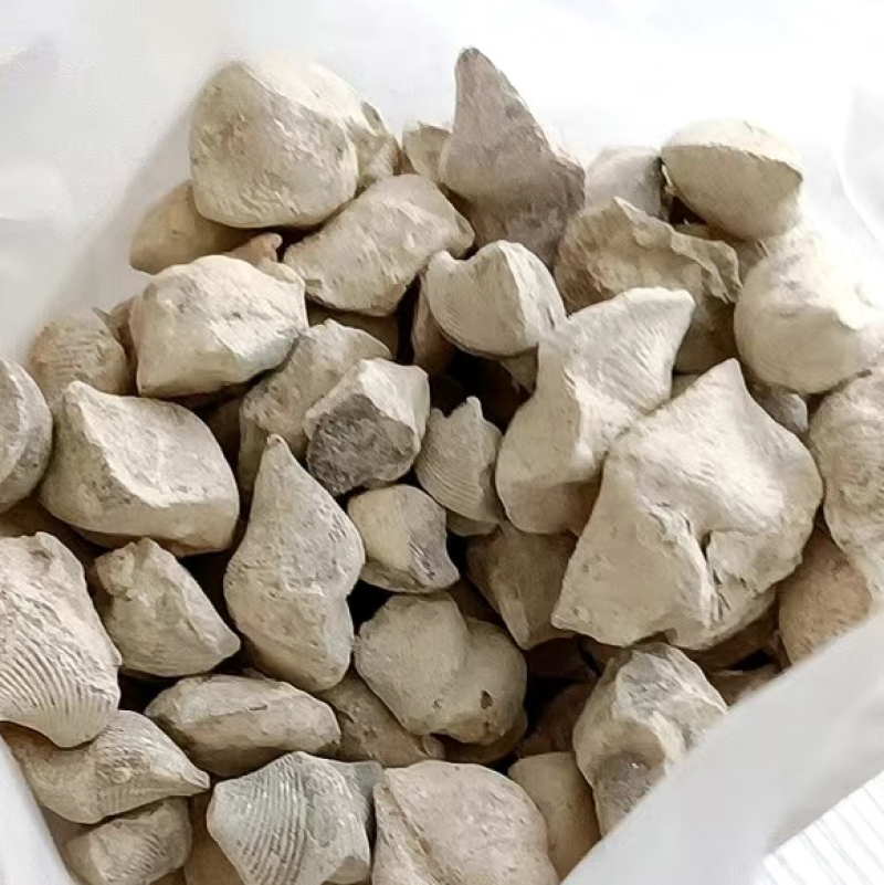 石燕中药石燕燕子石保庆药业批发