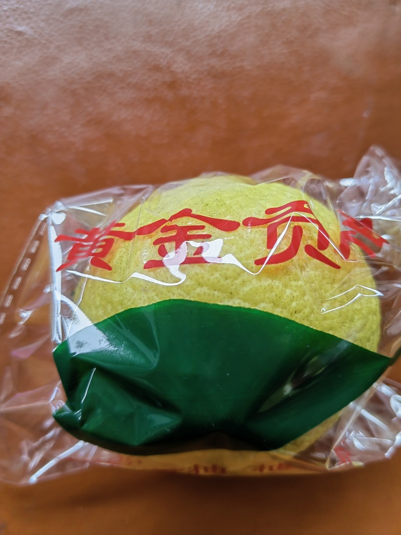 黄金贡柚口感丰富现摘先发可对接电商等欢迎选购