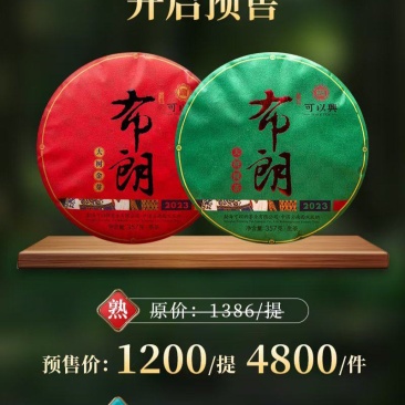 静品茶古茶园走一圈#品茶品味品人生#翻山越岭只为最