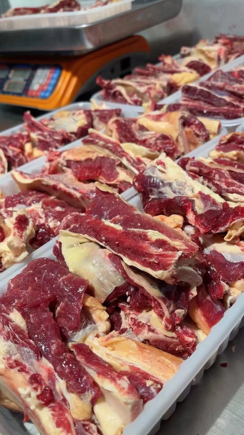 黄牛肉黄膘牛肉内蒙草原放养黄牛现杀现发全国发货