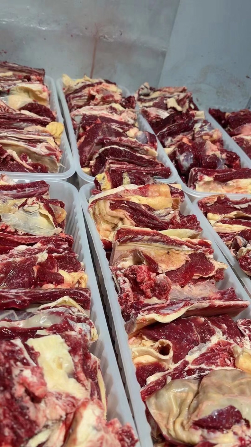 黄牛肉黄膘牛肉内蒙草原放养黄牛现杀现发全国发货