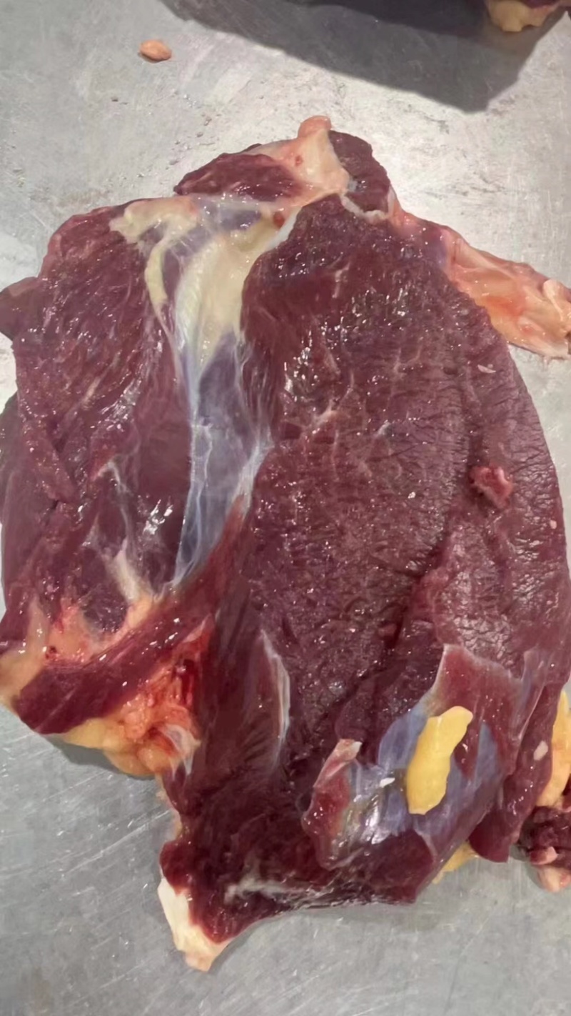 黄牛肉黄膘牛肉内蒙草原放养黄牛现杀现发全国发货