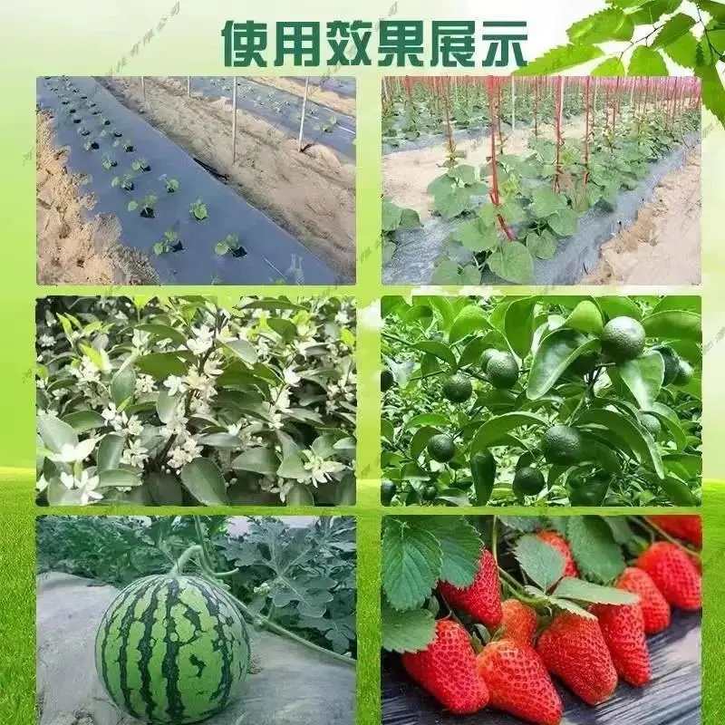 微生物菌肥有有效改善土质土壤提高作物增产增收厂家发货