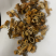桑白皮