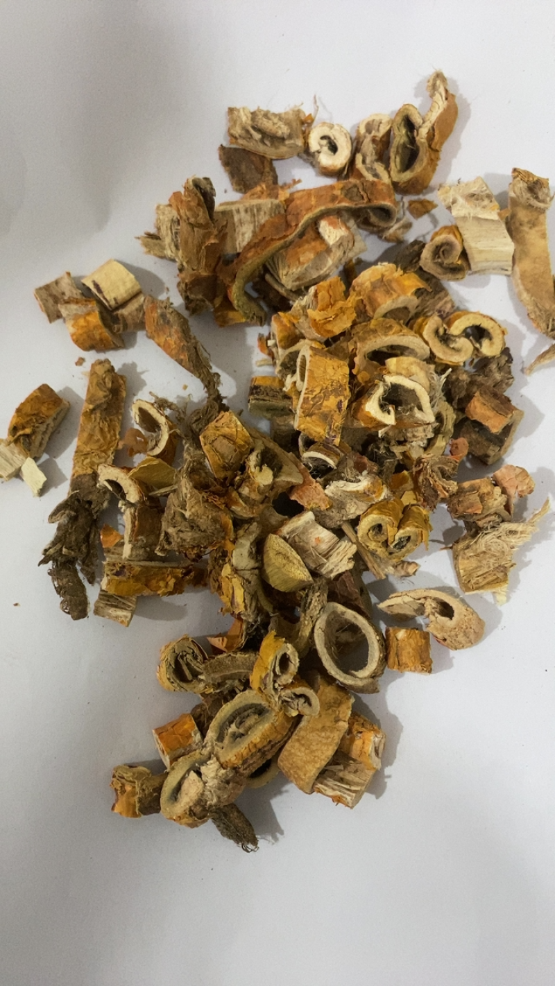 桑白皮
