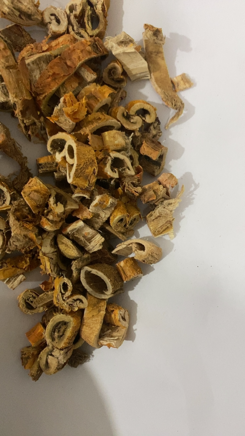 桑白皮