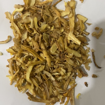 玉竹