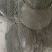 野生甲鱼