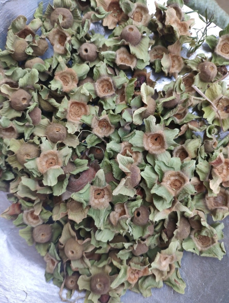 柿蒂代抓药方柿子蒂货好量大代抓各种药方