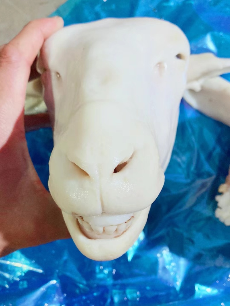 山东水退火烧扒皮羊头量大从优，长期合作