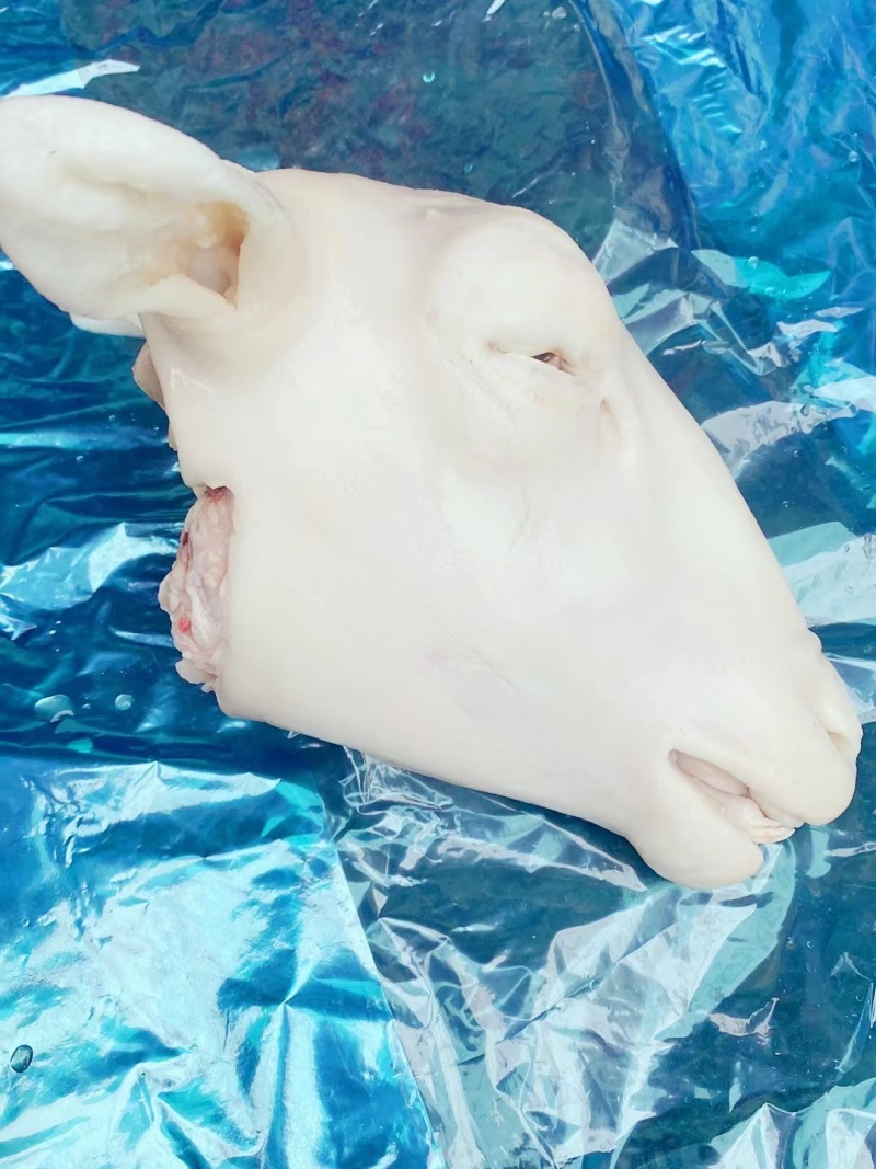 山东水退火烧扒皮羊头量大从优，长期合作