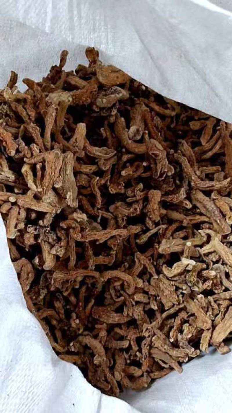 大别山野生黄精干货