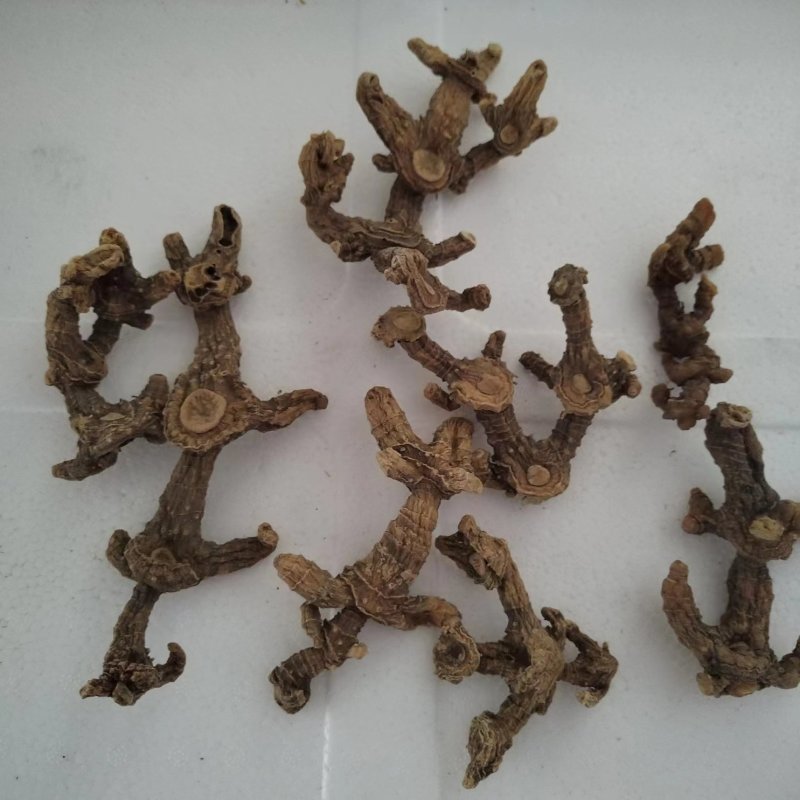 大别山野生黄精干货