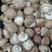 西峡香菇中菇3.5-4.5公分产地直发