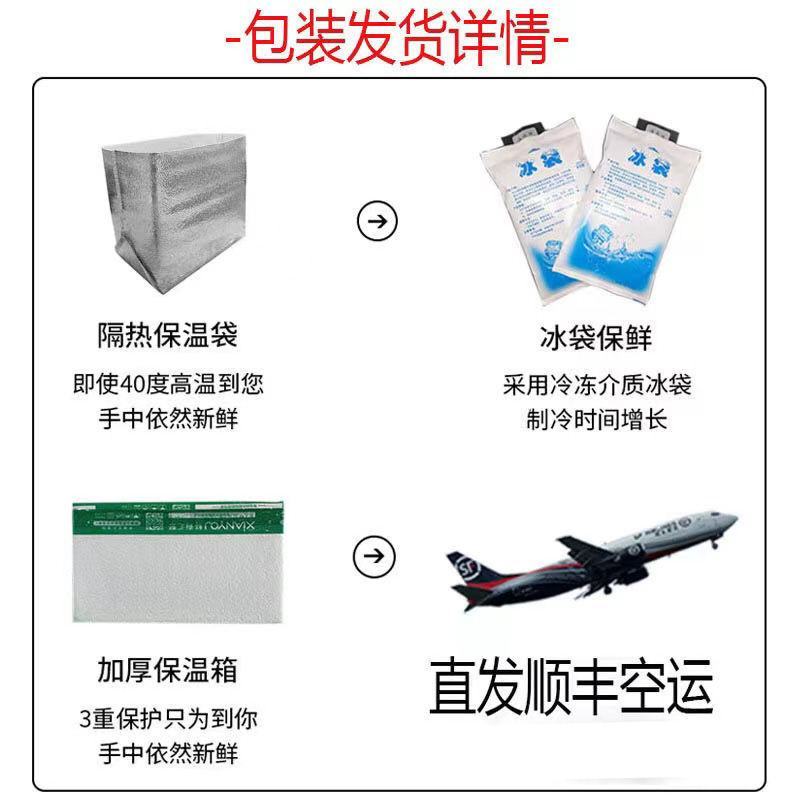 鲜活黄翅鱼新鲜海鱼冰鲜黄腊鱼黄鲷鱼饭店黄立鱼当季黄翅鱼