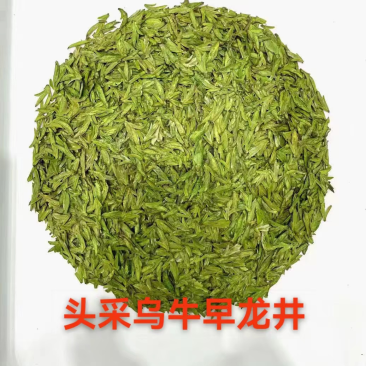 头采乌牛早龙井茶，颜色好，品质好，香气浓，价格好