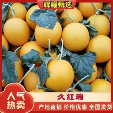 精品甜瓜久红瑞甜瓜量大从优质量保证欢迎咨询